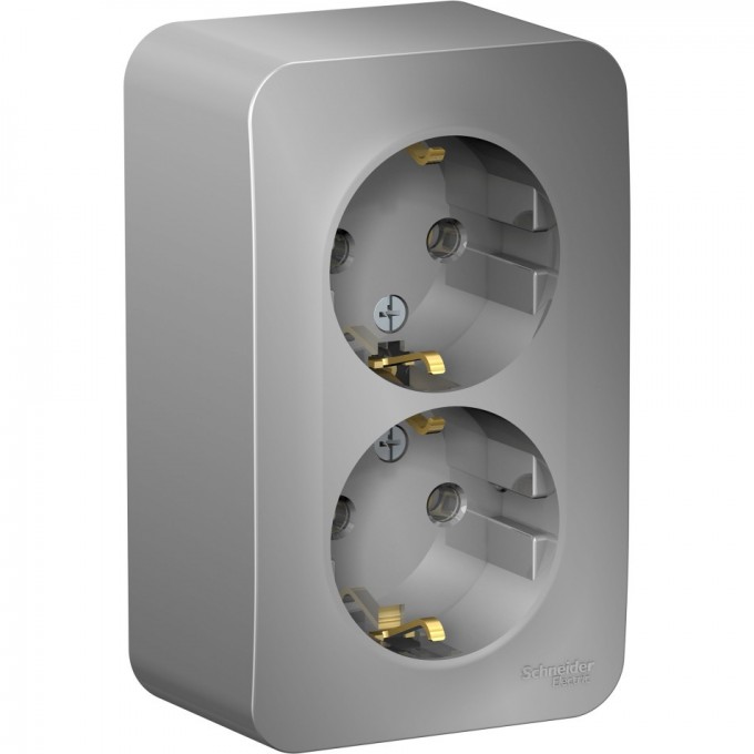 Розетка двойная SCHNEIDER ELECTRIC BLANCA с заземлением, без шторок, с изолирующей пластиной, 16А, 250В, алюминий BLNRA010213
