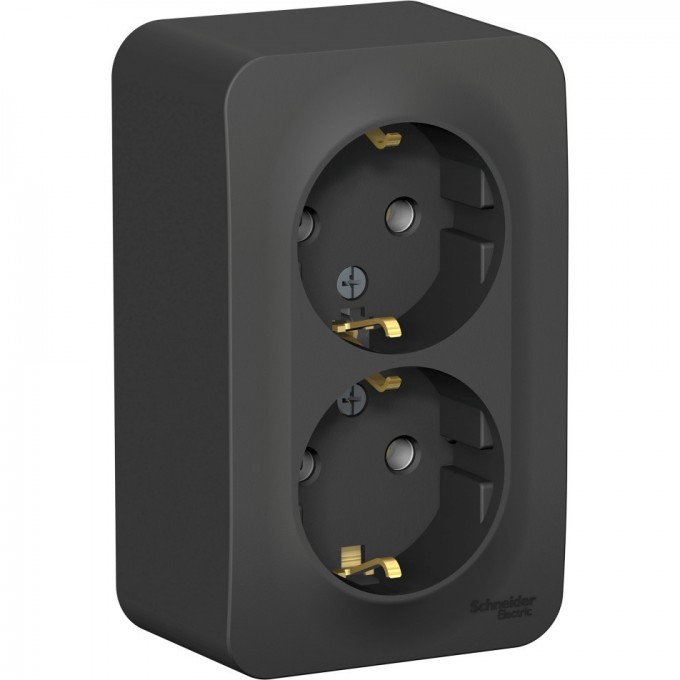 Розетка двойная SCHNEIDER ELECTRIC BLANCA с заземлением, без шторок, с изолирующей пластиной, 16А, 250В, антрацит BLNRA010216