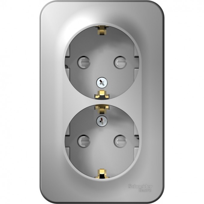 Розетка двойная SCHNEIDER ELECTRIC BLANCA с заземлением, со шторками, с изолирующей пластиной, 16А, 250В, алюминий BLNRA011213