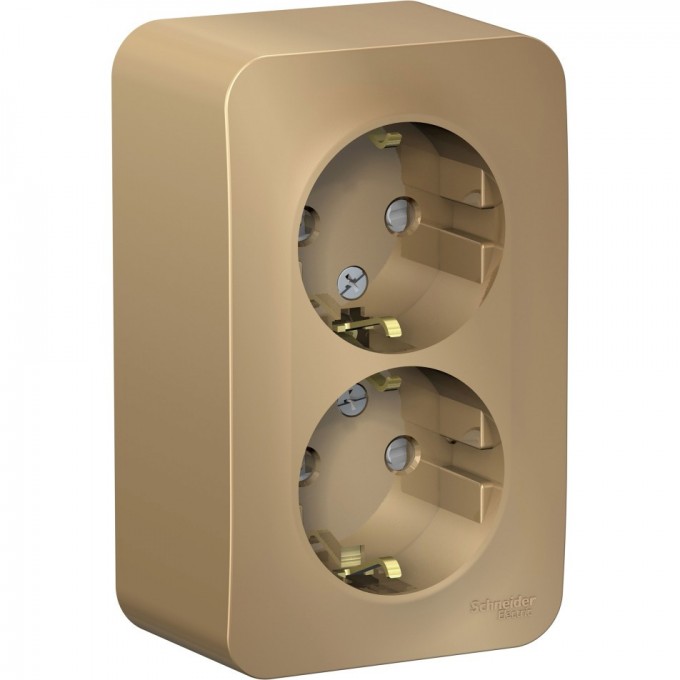 Розетка двойная SCHNEIDER ELECTRIC BLANCA с заземлением, со шторками, с изолирующей пластиной, 16А, 250В, титан BLNRA011214