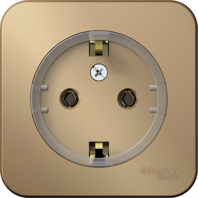 Розетка SCHNEIDER ELECTRIC BLANCA с заземлением, без шторок, (компакт), с изолирующей пластиной, 16А, 250В, титан BLNRA110114