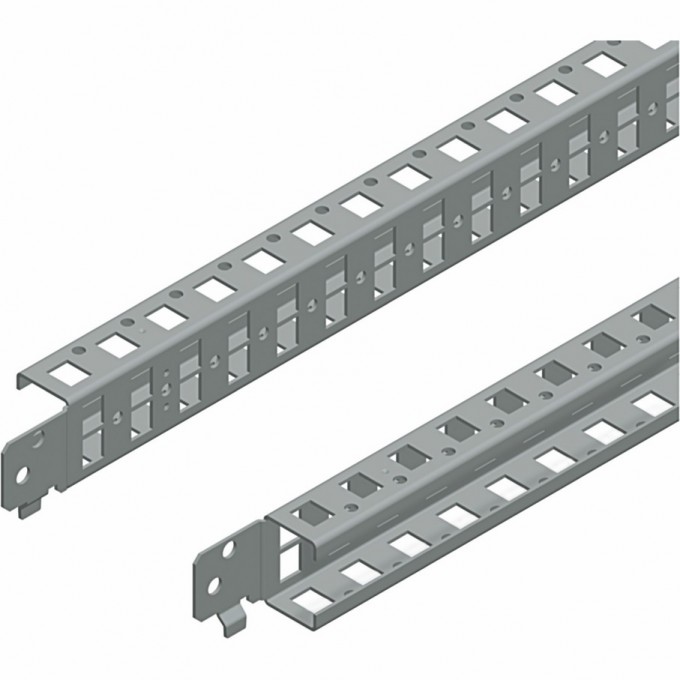 2 однорядные стандартные попеременные рейки SCHNEIDER ELECTRIC SPACIAL 400 NSYSQCR4040