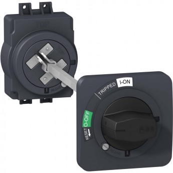 Выносная поворотная рукоятка SCHNEIDER ELECTRIC COMPACT EZC100